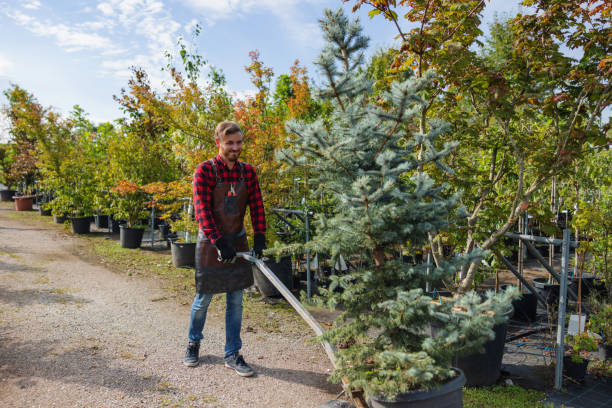 Best Weed Control  in Preston, MN